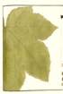 photo55_small.jpg