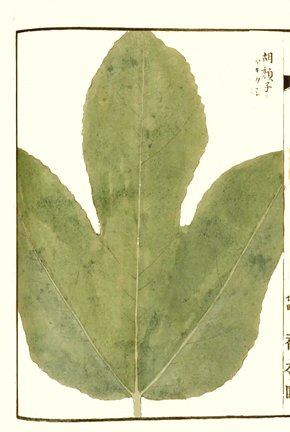 photo65.jpg