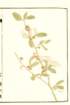 photo66_small.jpg