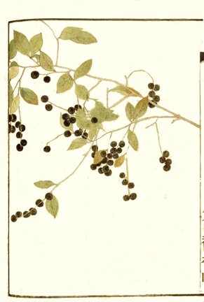 photo71.jpg
