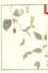 photo12_small.jpg