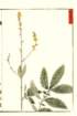 photo15_small.jpg