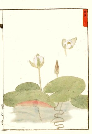 photo21.jpg