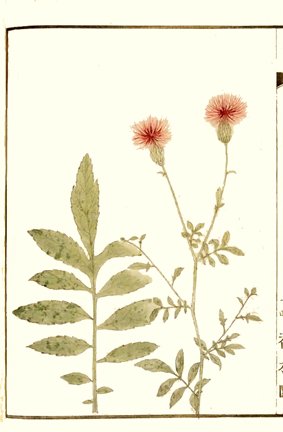 photo28.jpg