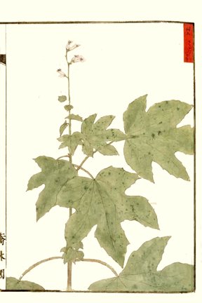 photo33.jpg
