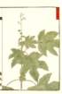 photo33_small.jpg