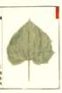 photo35_small.jpg