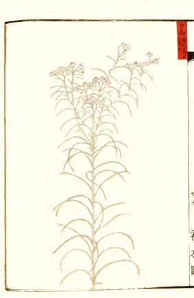 photo58.jpg