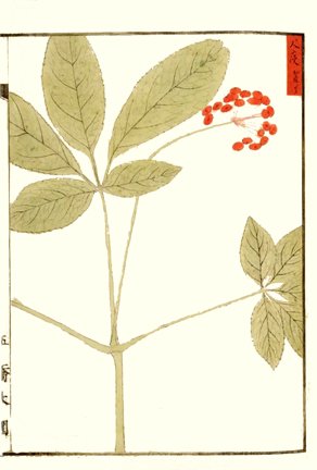 photo9.jpg