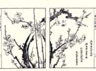 photo4_small.jpg