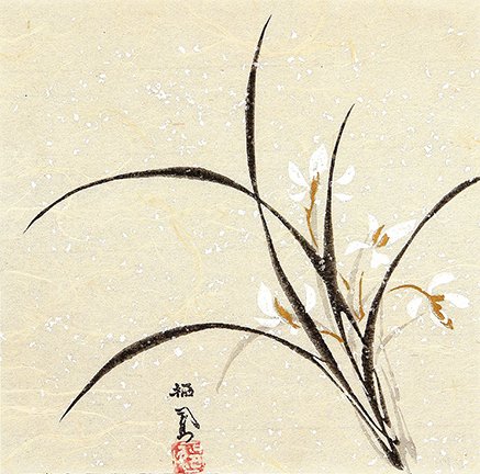 photo.jpg