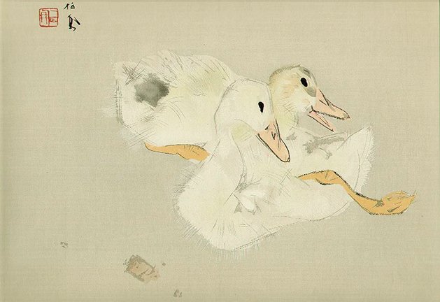 photo15.jpg