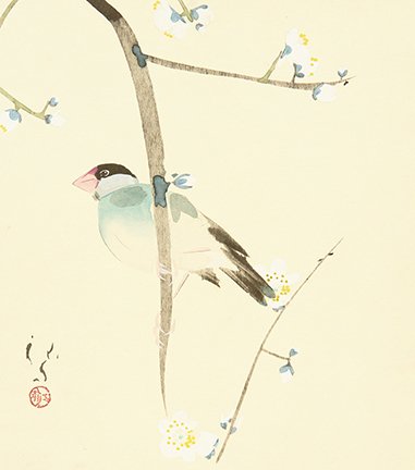 photo8.jpg