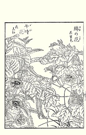 photo16.jpg