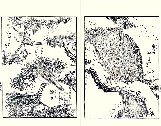 photo27.jpg
