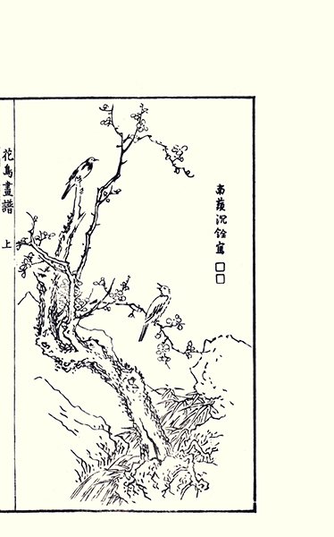 photo.jpg