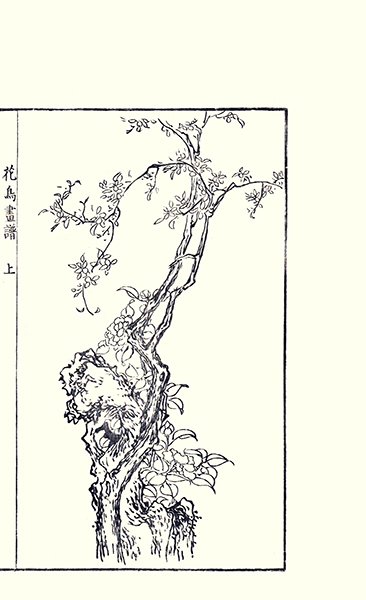photo10.jpg