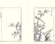 photo22_small.jpg