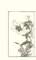 photo29_small.jpg