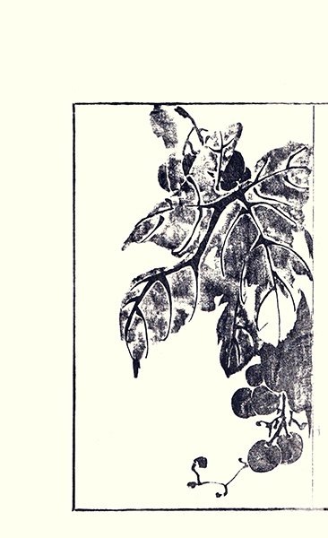 photo32.jpg