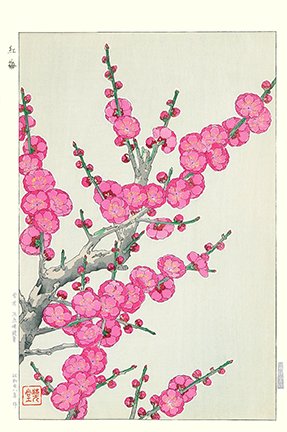 photo107.jpg