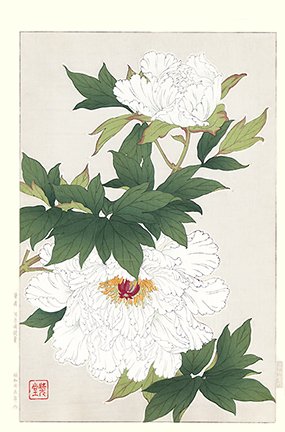 photo89.jpg