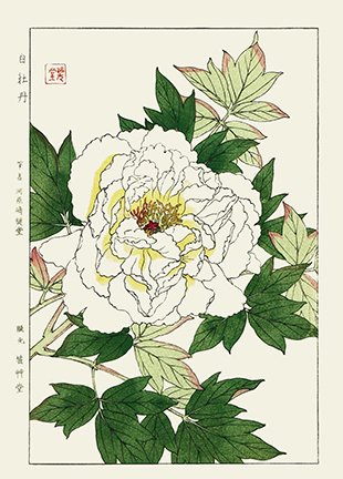 photo92.jpg