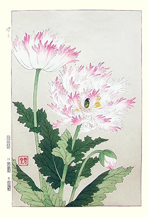 photo94.jpg