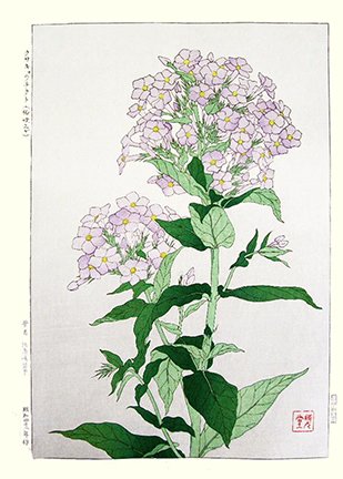 photo96.jpg