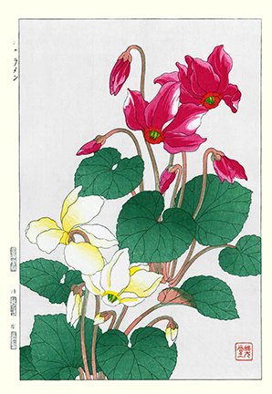 photo97.jpg