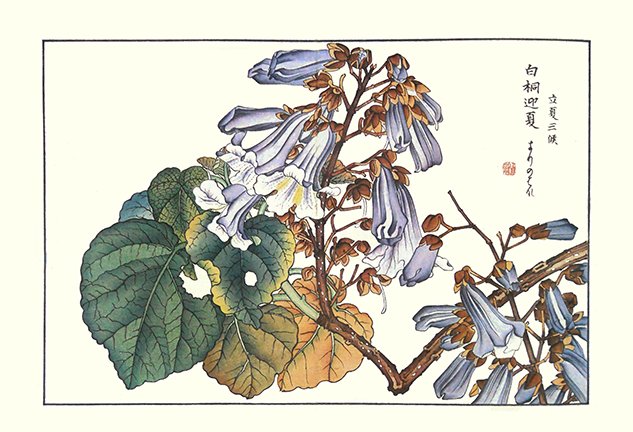 photo21.jpg