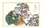 photo21_small.jpg