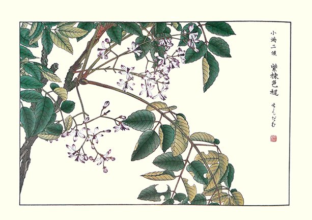 photo23.jpg