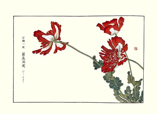 photo25.jpg