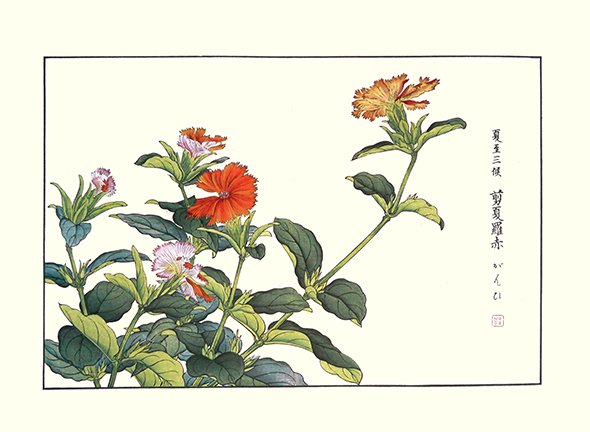 photo30.jpg