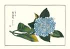 photo31_small.jpg