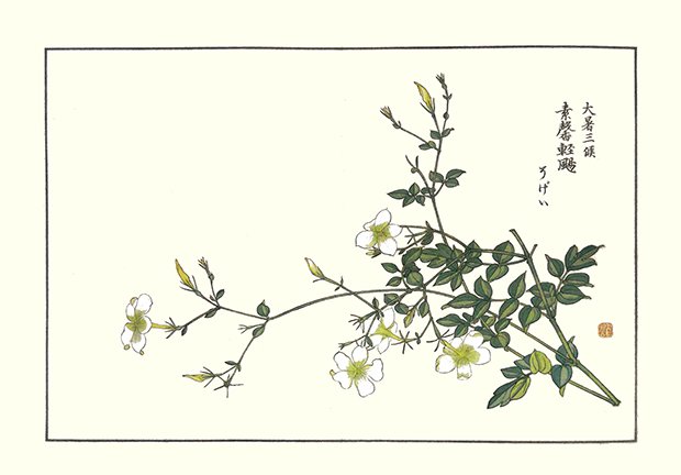 photo36.jpg