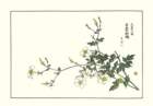 photo36_small.jpg