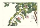 photo38_small.jpg