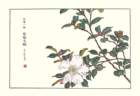 photo61_small.jpg