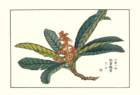 photo67_small.jpg