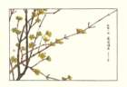 photo7_small.jpg