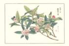 photo9_small.jpg