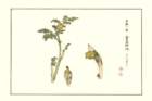 photo10_small.jpg