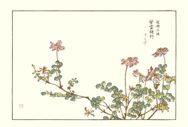 photo13.jpg
