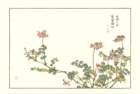 photo13_small.jpg