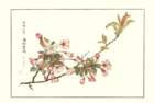 photo14_small.jpg