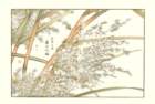 photo17_small.jpg
