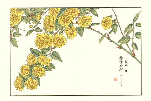 photo24.jpg