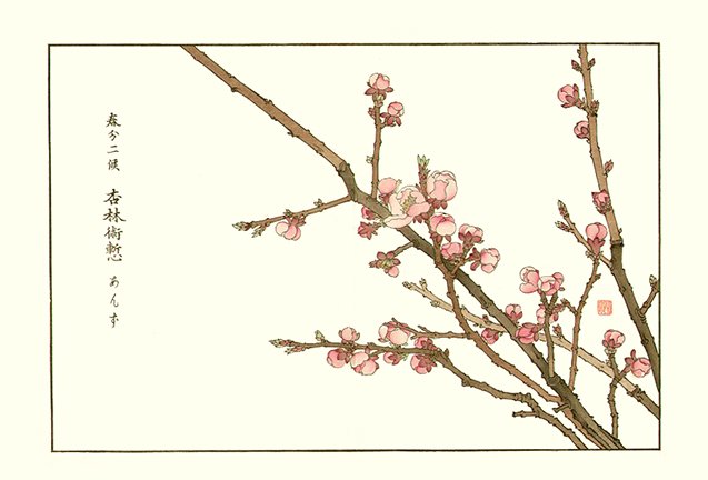 photo26.jpg